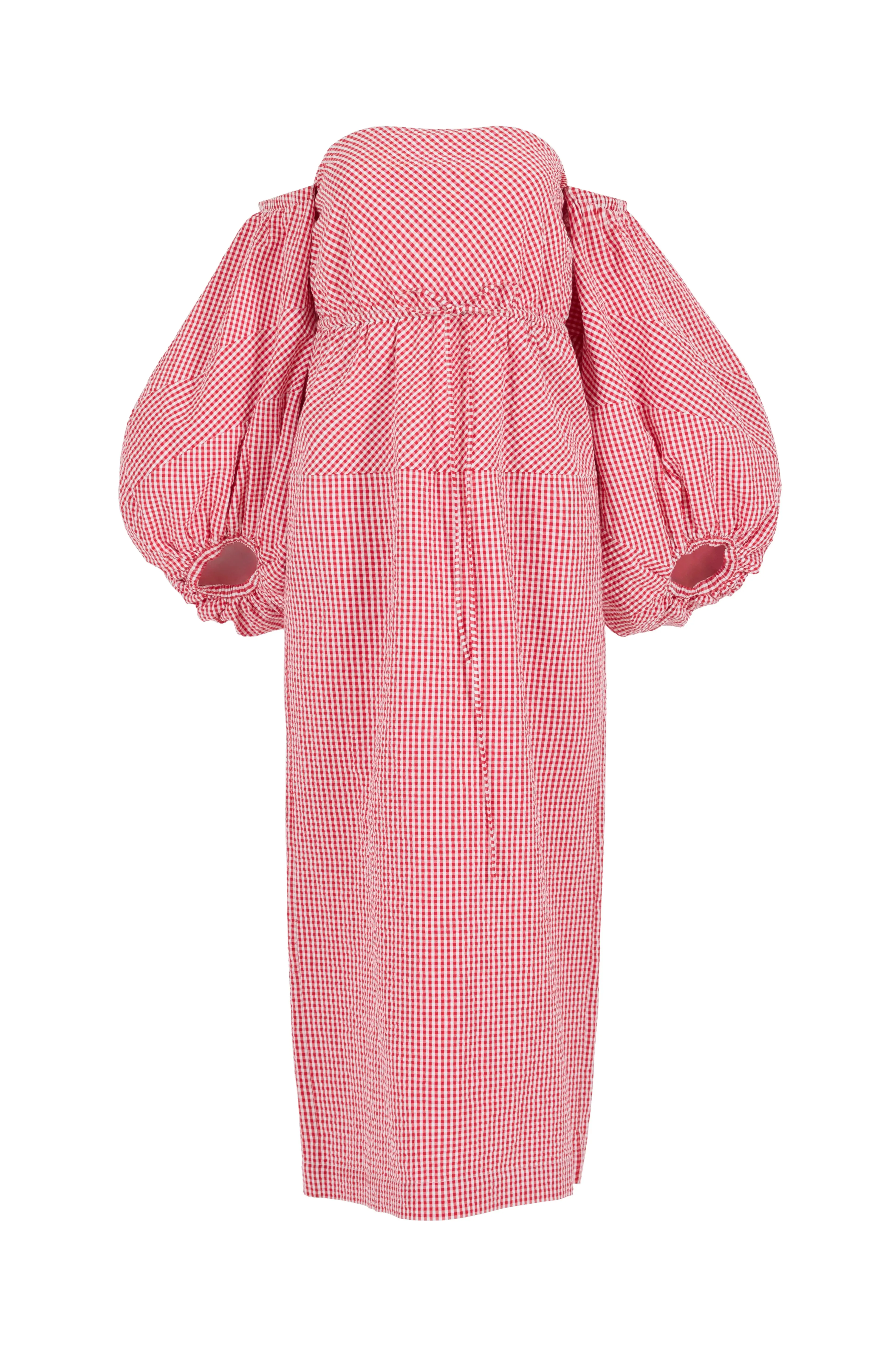 Balloon Sleeve Dress