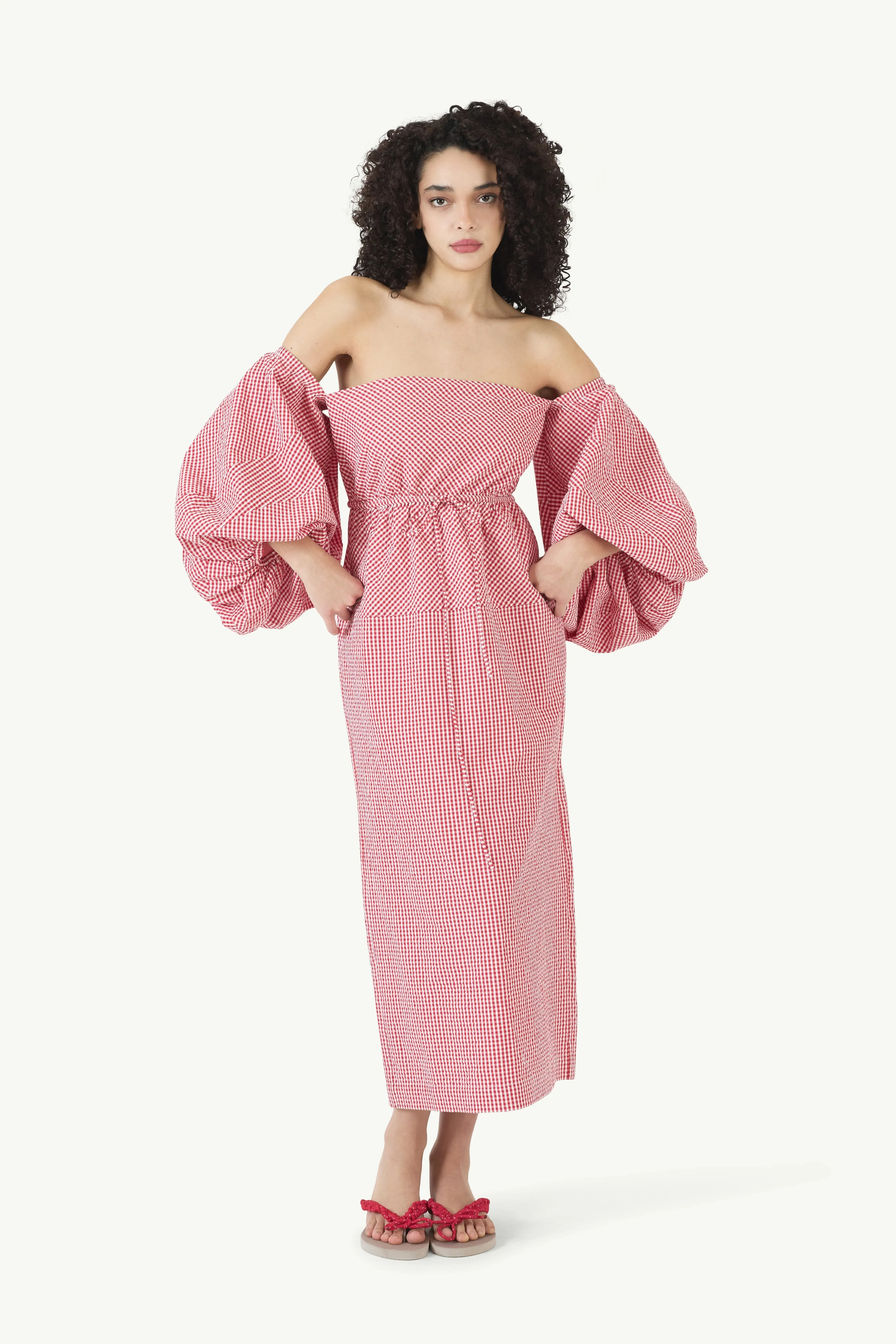 Balloon Sleeve Dress