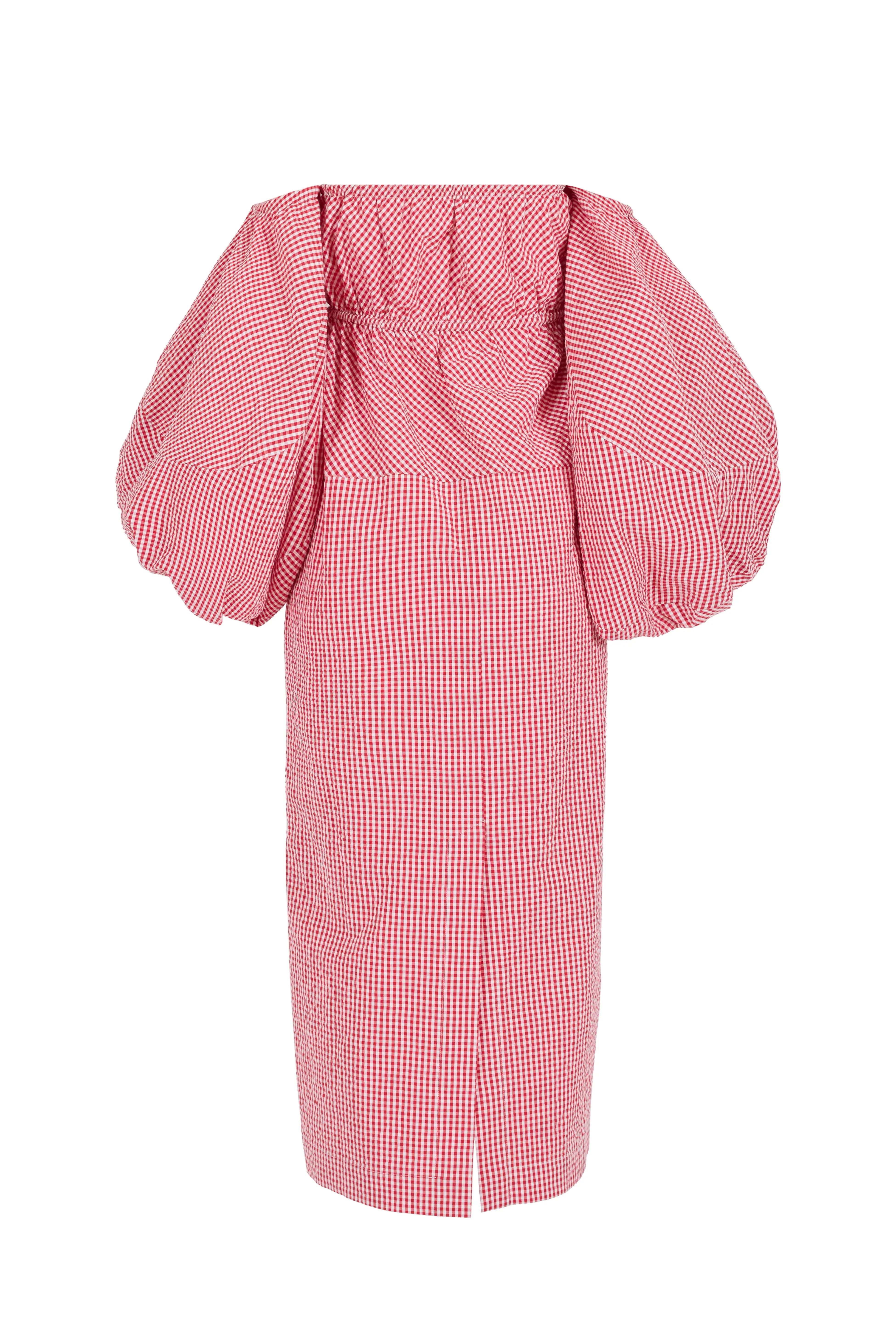 Balloon Sleeve Dress