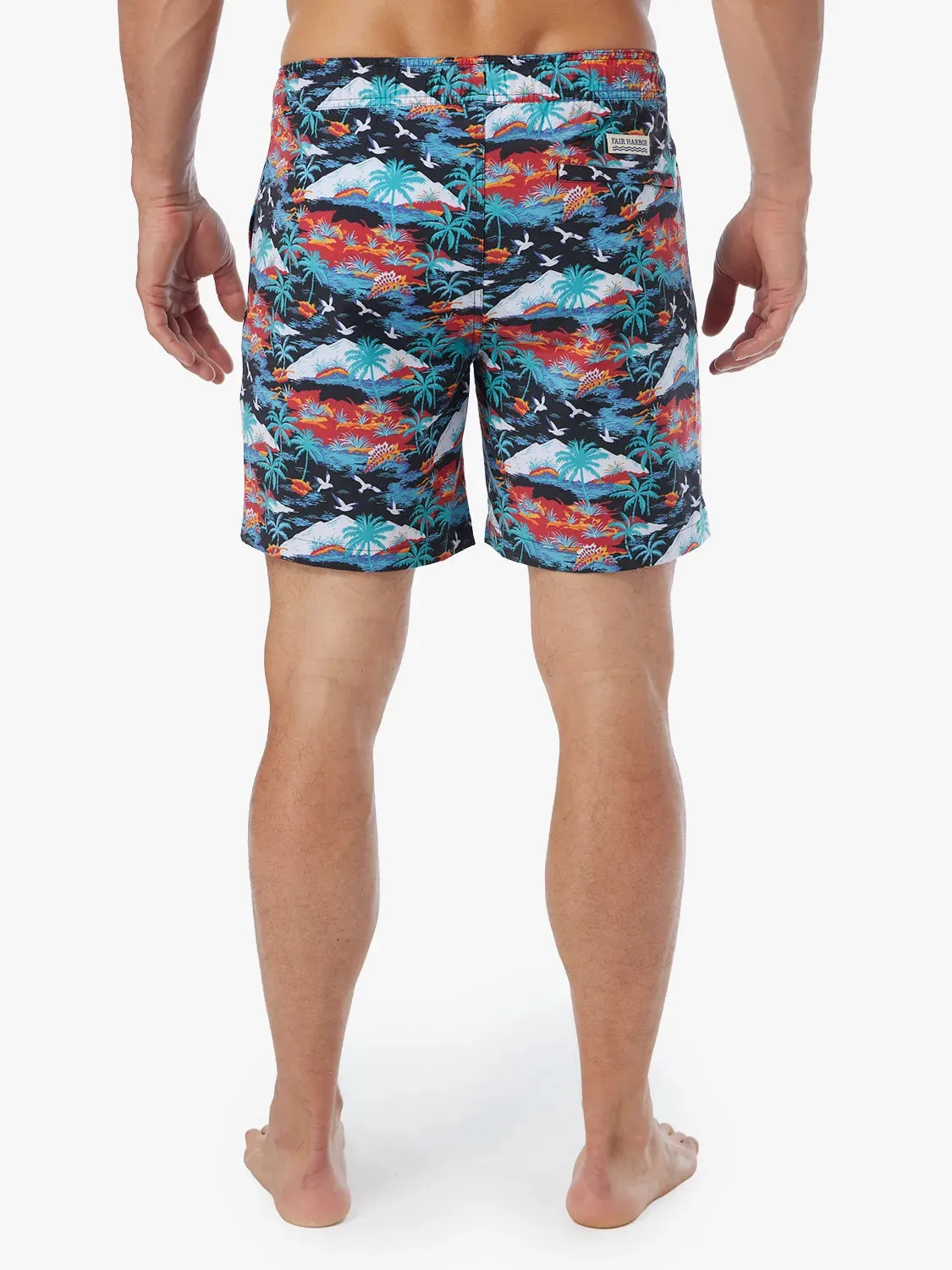 Bayberry Trunk | Tropical Peaks
