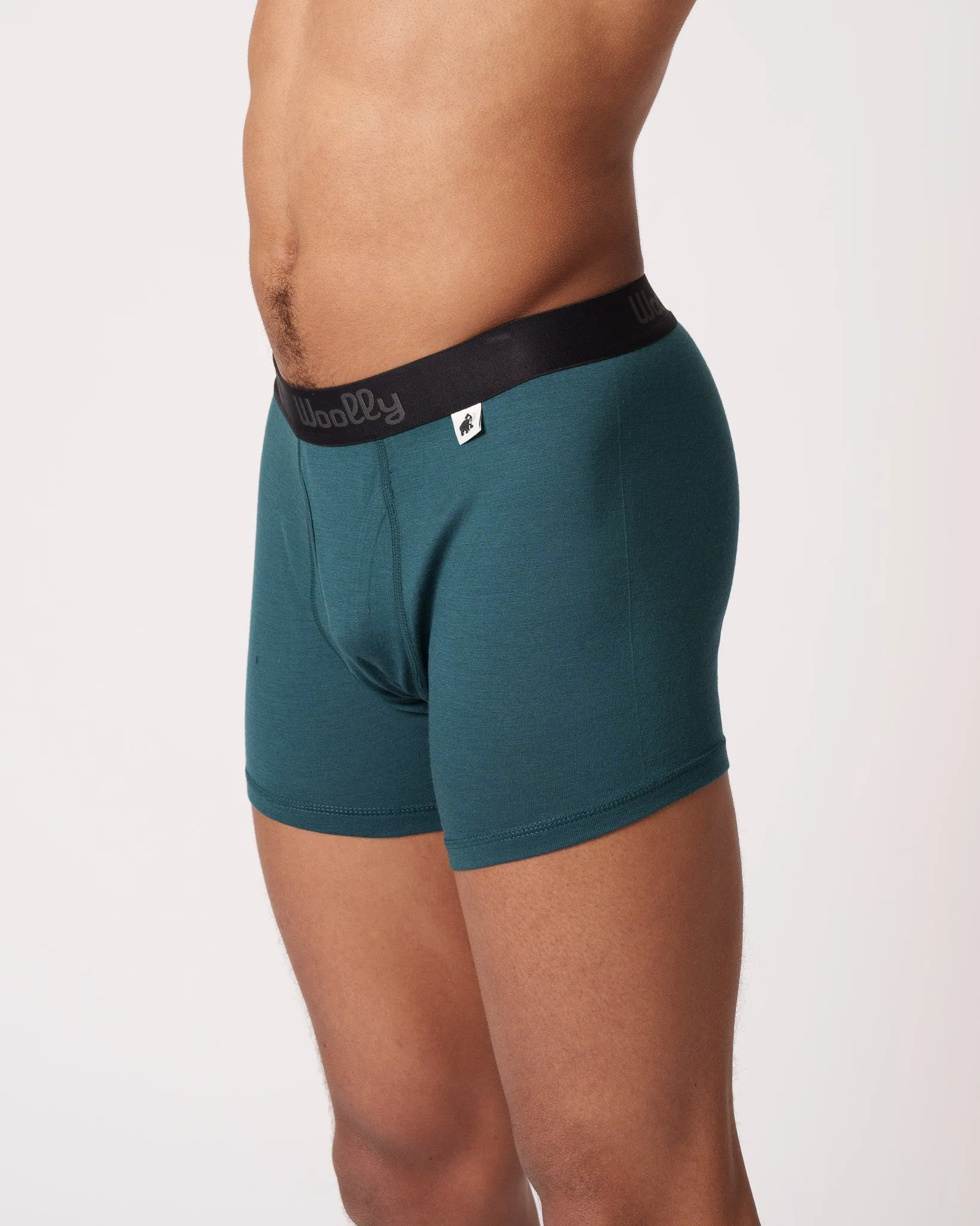 Everyday Boxer Brief