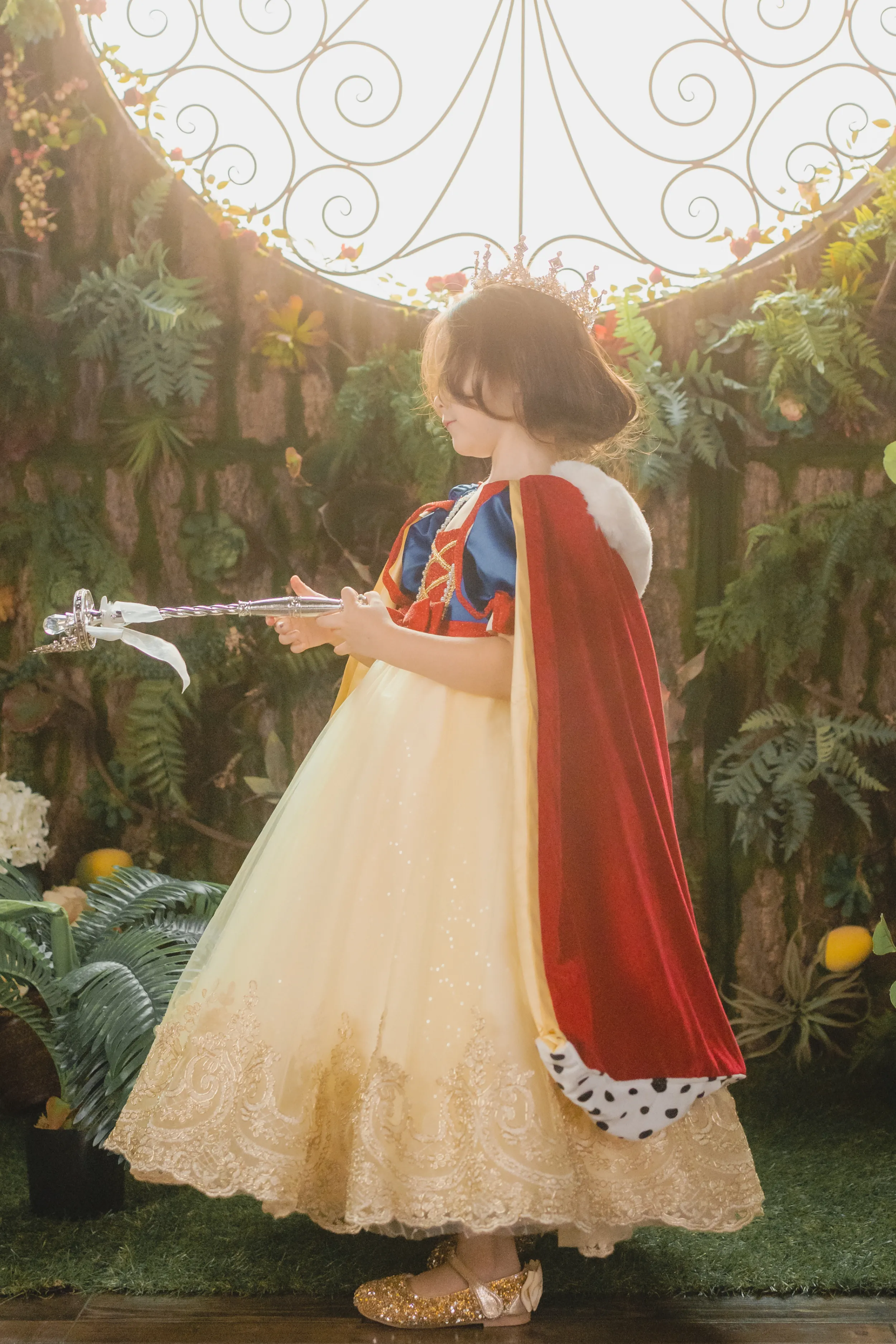 Snow White Blue, Red & Yellow Gown