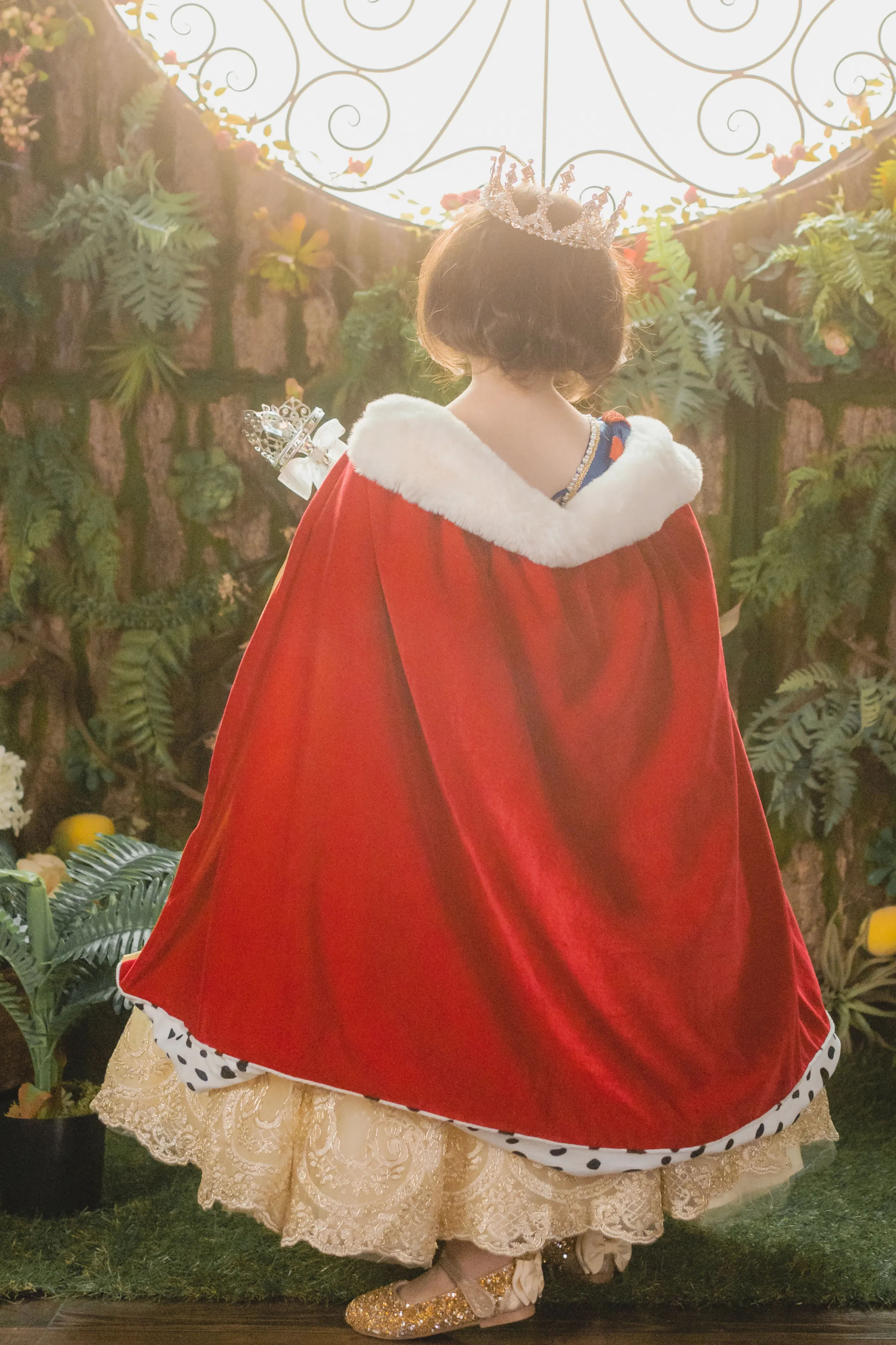 Snow White Blue, Red & Yellow Gown
