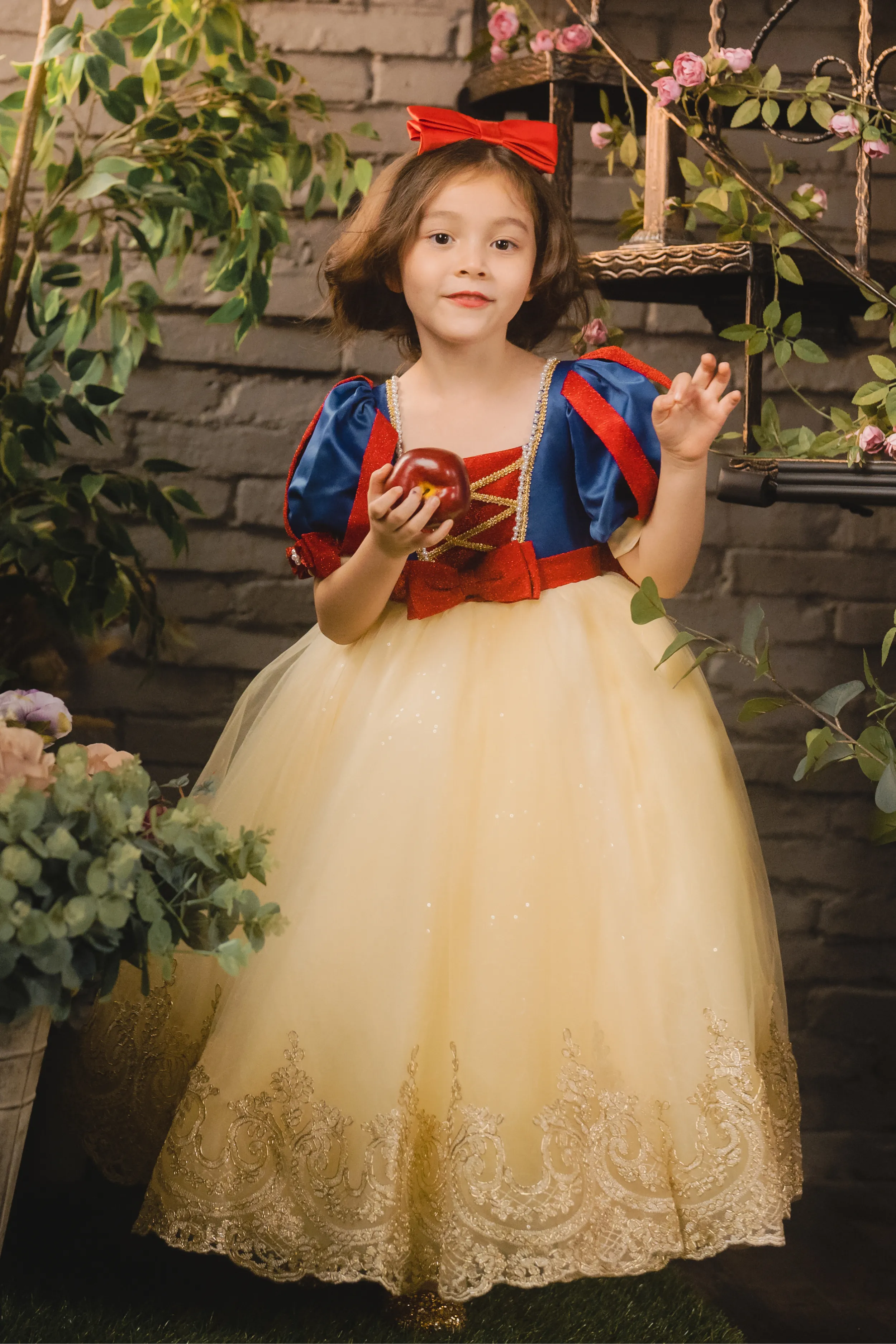 Snow White Blue, Red & Yellow Gown