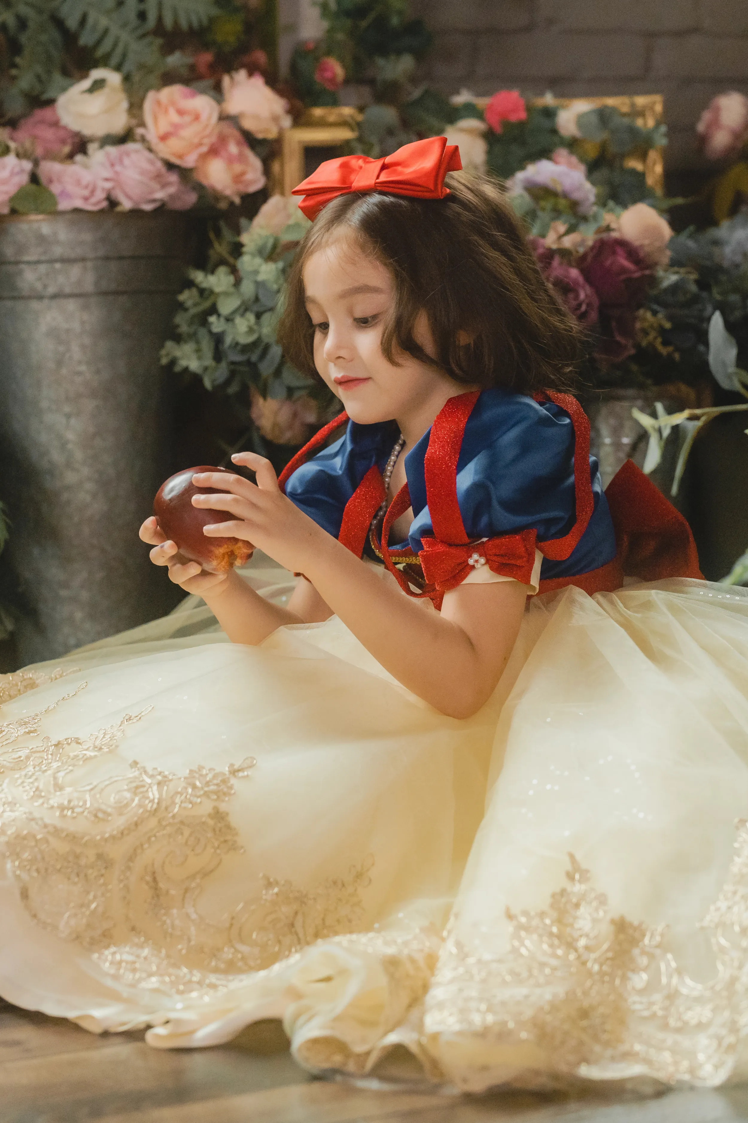 Snow White Blue, Red & Yellow Gown
