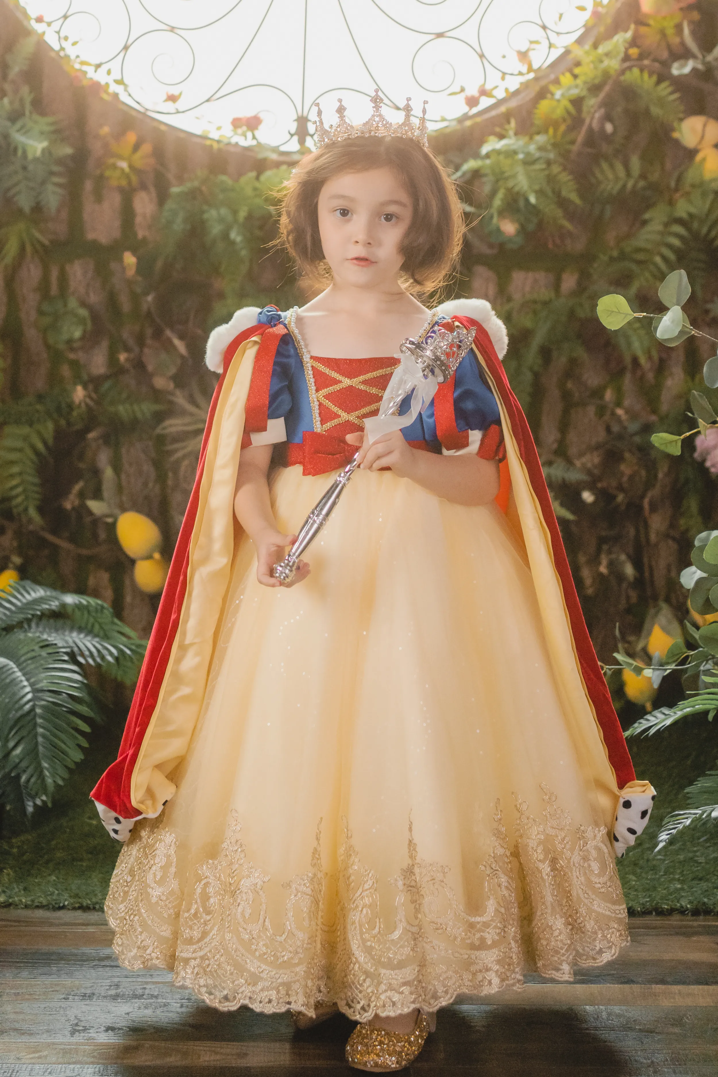 Snow White Blue, Red & Yellow Gown