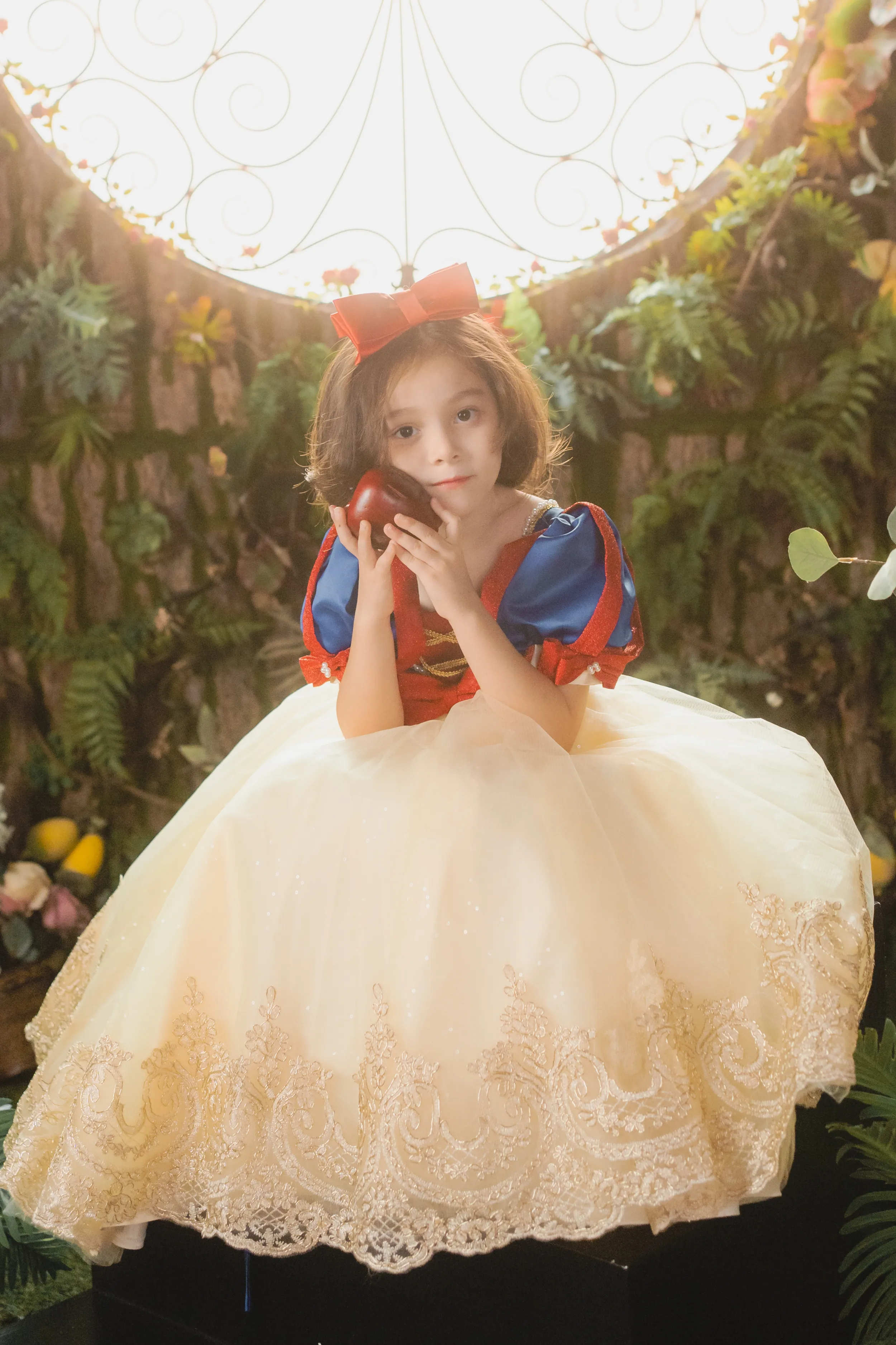 Snow White Blue, Red & Yellow Gown