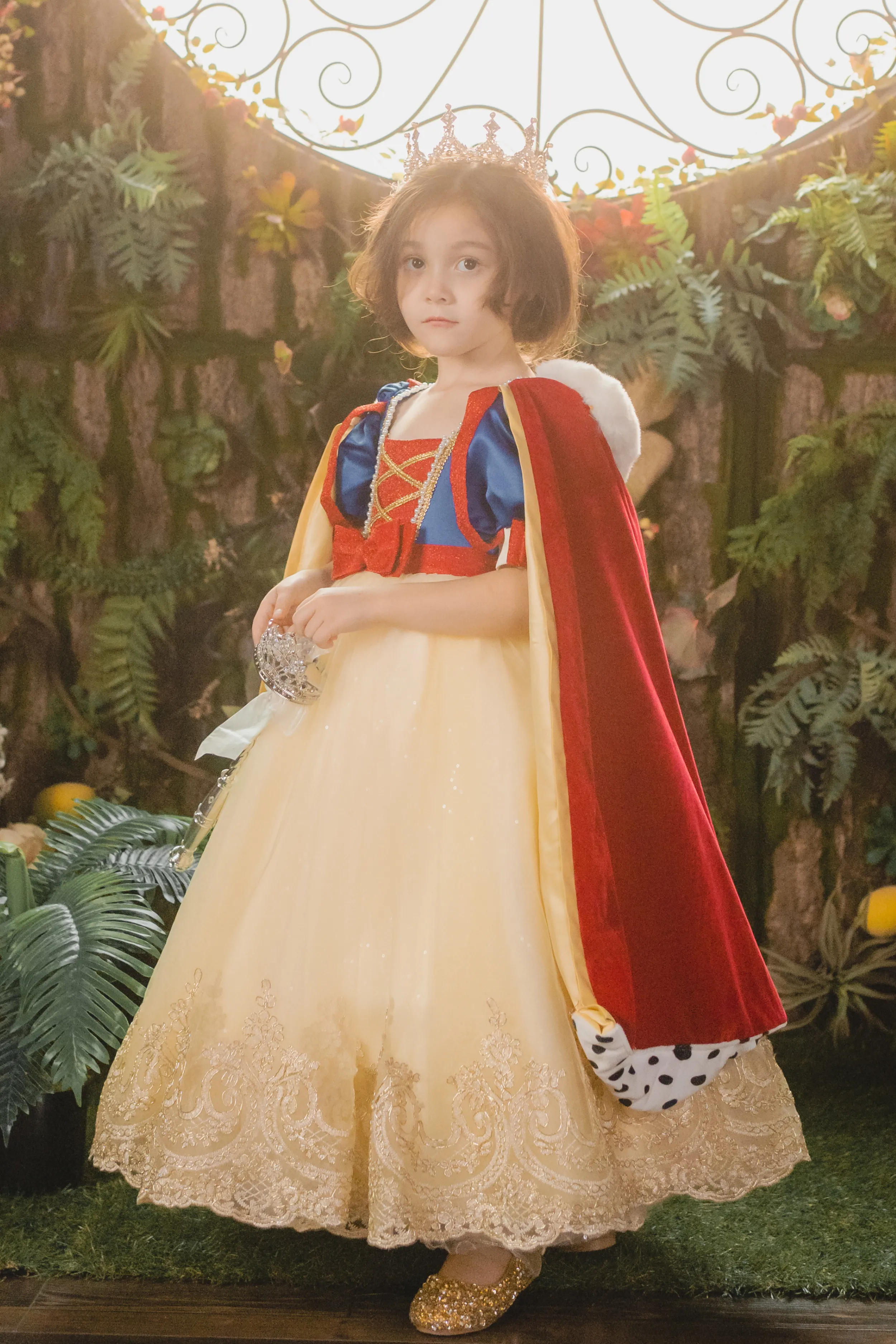 Snow White Blue, Red & Yellow Gown