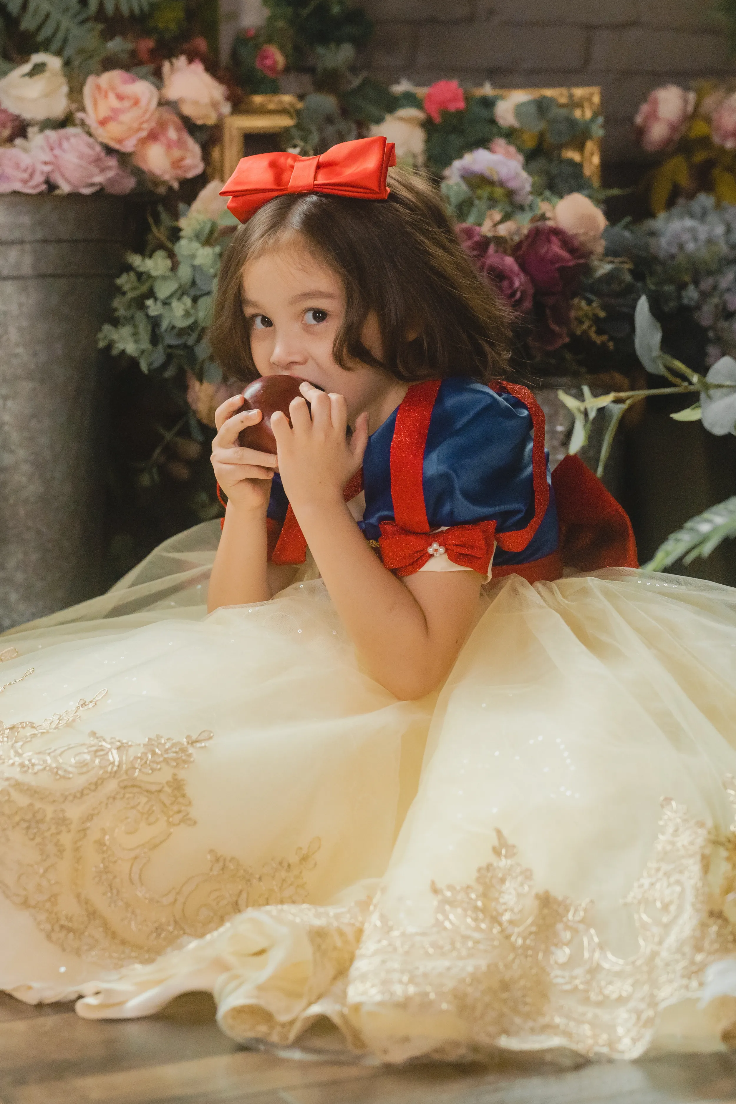 Snow White Blue, Red & Yellow Gown